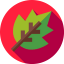 Leaf icon 64x64