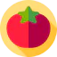Tomato icon 64x64