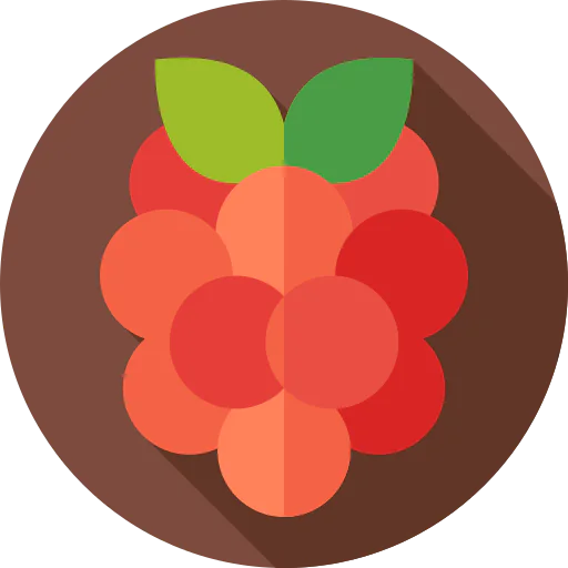 Berry icon