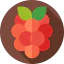 Berry icon 64x64