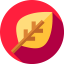 Leaf icon 64x64