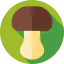 Mushroom icon 64x64