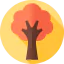 Autumn tree icon 64x64