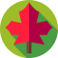 Leaf icon 64x64