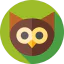 Owl icon 64x64