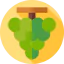 Grapes icon 64x64