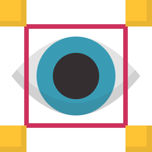 Vision icon