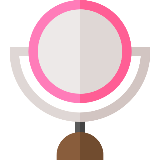 Mirror icon