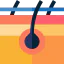 Skin icon 64x64