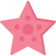 Starfish icon 64x64