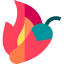 Spicy icon 64x64