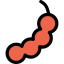 Tamarind icon 64x64