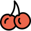 Cherry icon 64x64