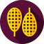 Snowshoes icon 64x64