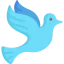 Dove icon 64x64