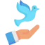 Dove icon 64x64