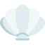 Shell icône 64x64