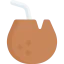 Coconut drink icon 64x64