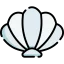 Shell icône 64x64