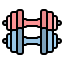 Dumbbells icon 64x64