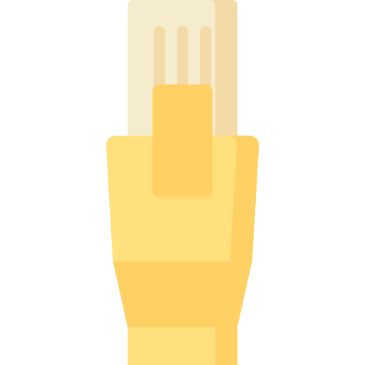 Ethernet icon