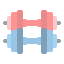Dumbbells icon 64x64