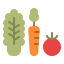 Vegetables icon 64x64