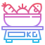 Grocery scale icon 64x64