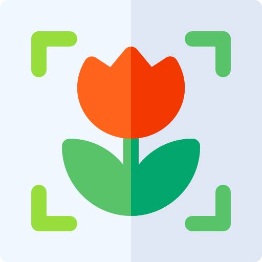 Macro icon