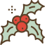 Mistletoe icon 64x64