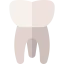 Molar ícono 64x64