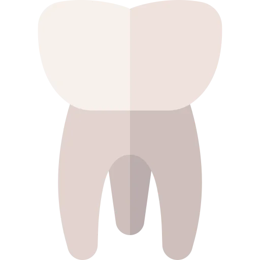 Molar icon