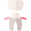 Dental crown icon 64x64