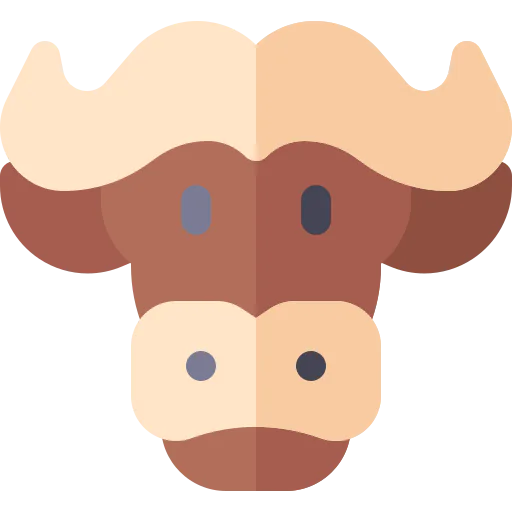 Buffalo icon