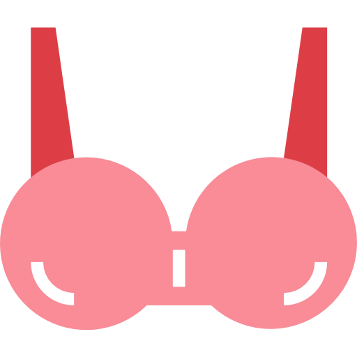 Bra icon