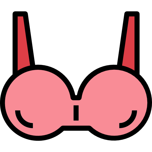 Bra icon