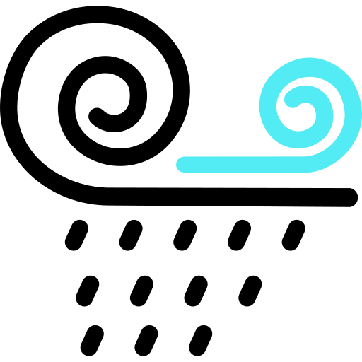 Windy icon