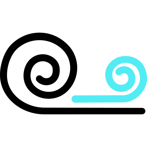 Windy icon