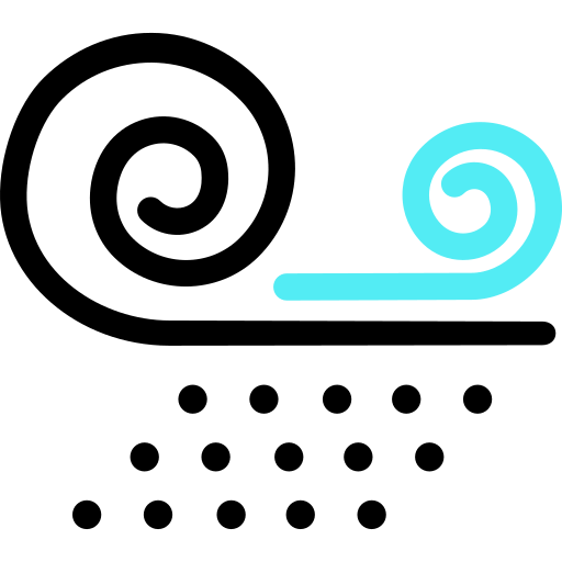 Windy icon