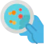 Petri dish icon 64x64