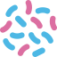 Bacteria icon 64x64