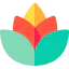 Lotus flower icon 64x64