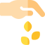 Seeds icon 64x64