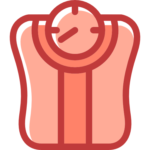 Scale icon