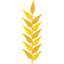 Wheat icon 64x64