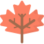 Maple leaf icon 64x64