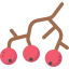 Berries icon 64x64