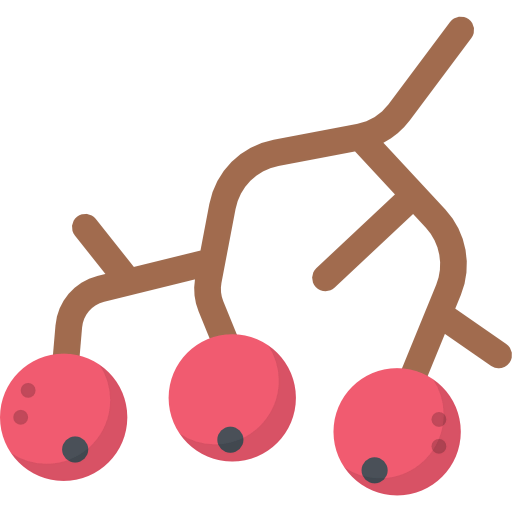 Berries icon