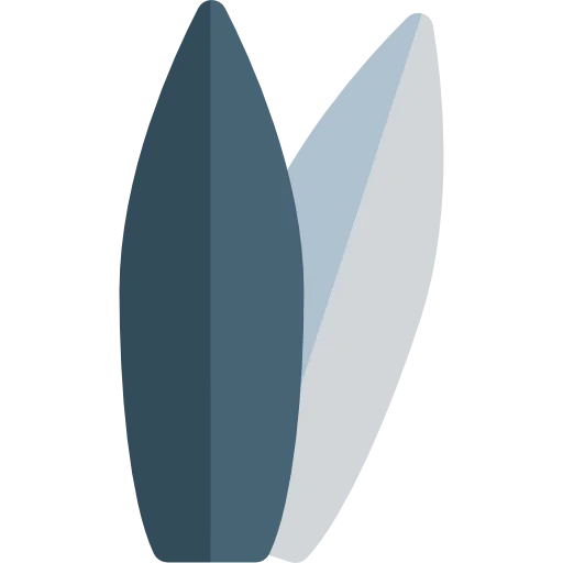 Surf icon