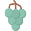 Grapes icon 64x64